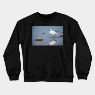 Reflection Crewneck Sweatshirt